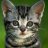 webmaster_forum